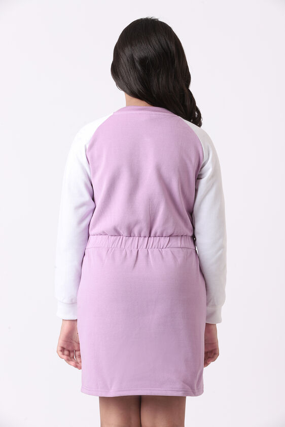 Purple Colour blocked Straight Dress, Purple, image 6